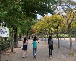 양천구청소년지원센터 꿈드림 문화체험(서울대공원)